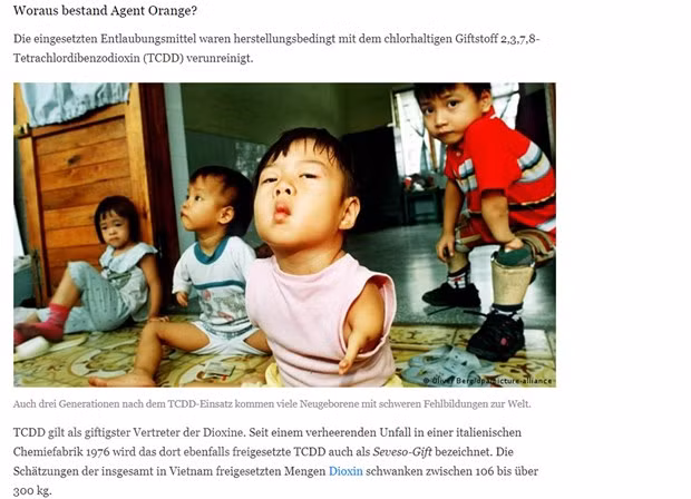 German media: plaintiffs and supporters of Tran To Nga’s lawsuit not deterred ảnh 2