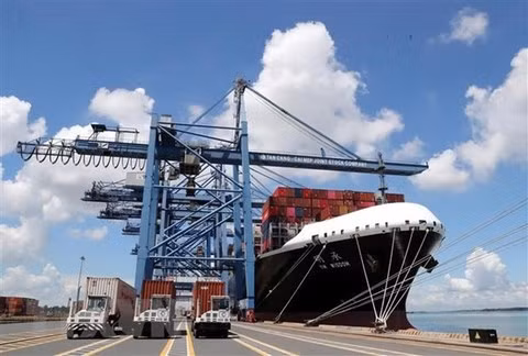 Shipping lines continue to increase fees, firms face more difficulties ảnh 1 Shipping lines continue to increase fees, firms face more difficulties ảnh 1