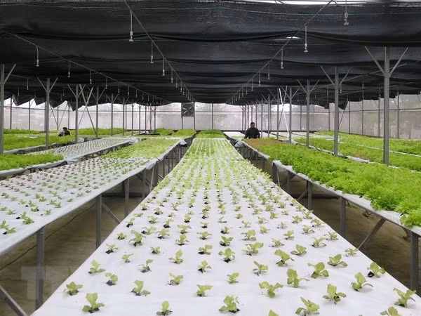 Climate-smart agriculture key to economic growth ảnh 1