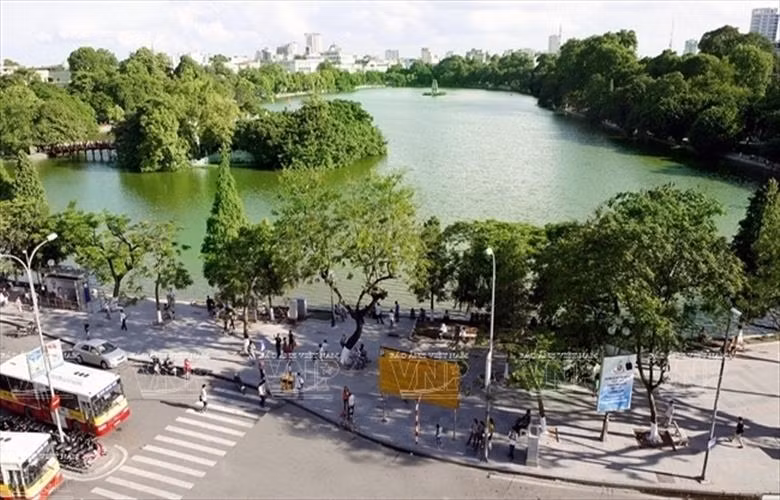 Hanoi plans to grow 400,000 trees in 2019 ảnh 1