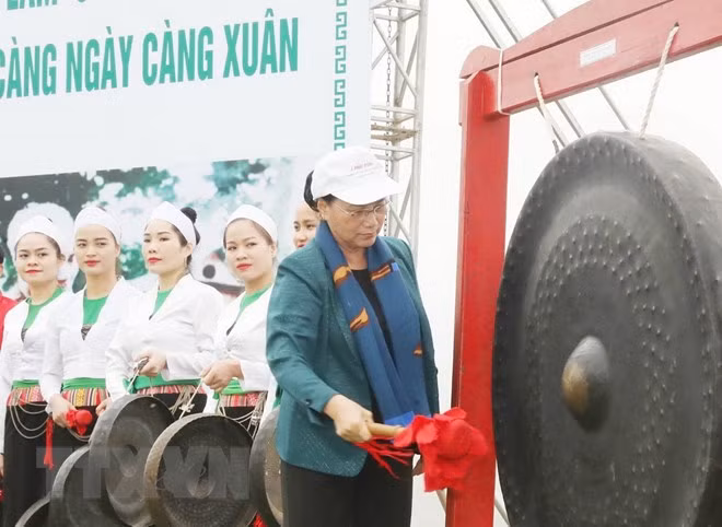 Top legislator launches tree planting festival in Hoa Binh ảnh 1