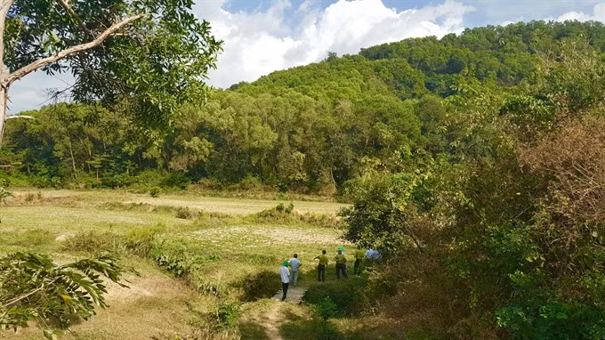Mekong Delta acts to prevent forest fires in dry season ảnh 1