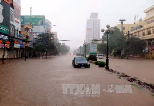 Vietnam Red Cross prepares for stormy season of 2017 ảnh 1
