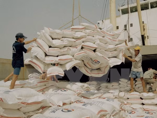Rice prices increase in both domestic, foreign markets ảnh 1