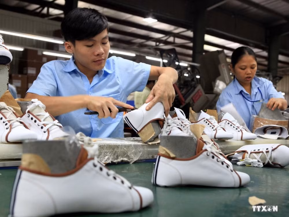 Dong Nai’s first-half trade surplus forecast to hit 600 million USD ảnh 1