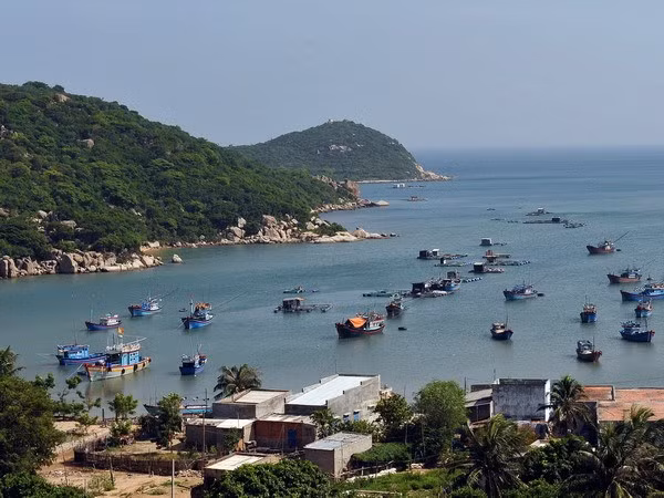 Ninh Thuan strives to become ideal tourism destination ảnh 1