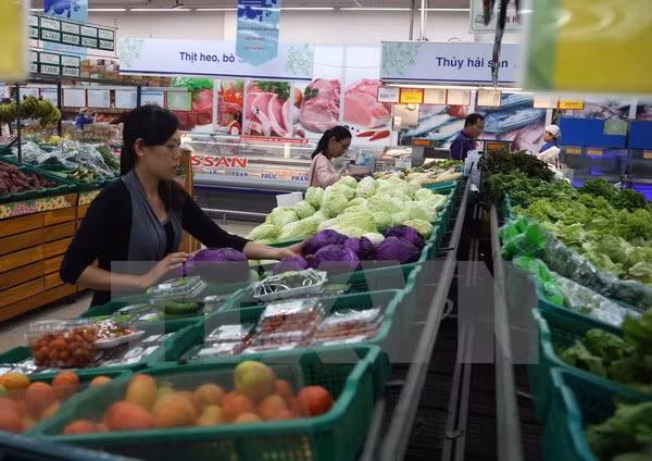 Mekong Delta proves attractive to retail businesses ảnh 1