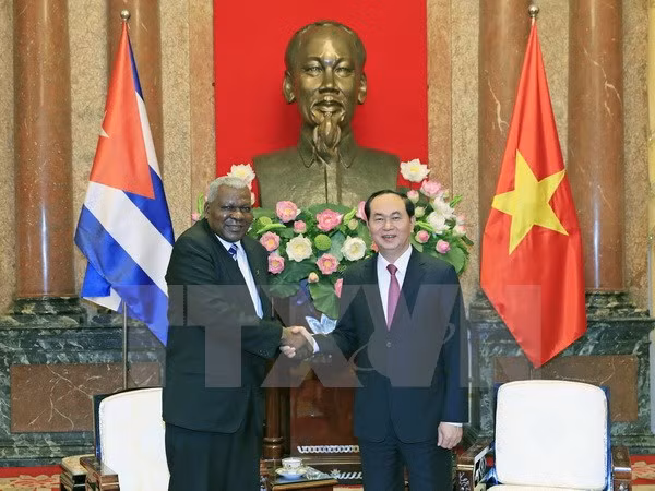 Vietnam, Cuba urged to step up cooperation mechanisms ảnh 1