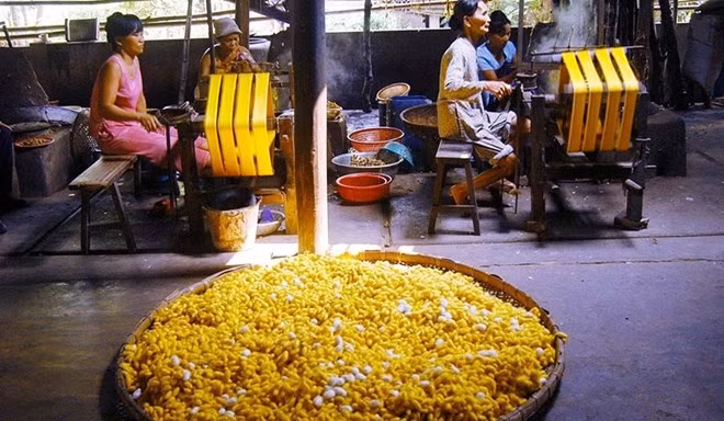 Vietnam silk yet to thread its way to world fame ảnh 1 Vietnam silk yet to thread its way to world fame ảnh 1