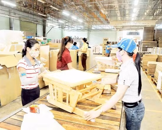 EU forest pact gives Vietnam timber firms a leg up ảnh 1 EU forest pact gives Vietnam timber firms a leg up ảnh 1