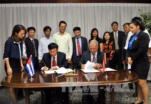 Vietnam presents 5,000 tonnes of rice to Cuba ảnh 1