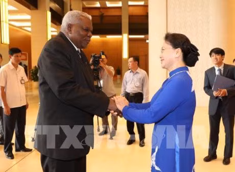 Vietnam, Cuba agree to beef up legislative ties ảnh 1
