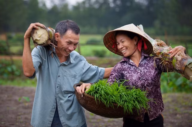 Families of gender equality honoured ảnh 1