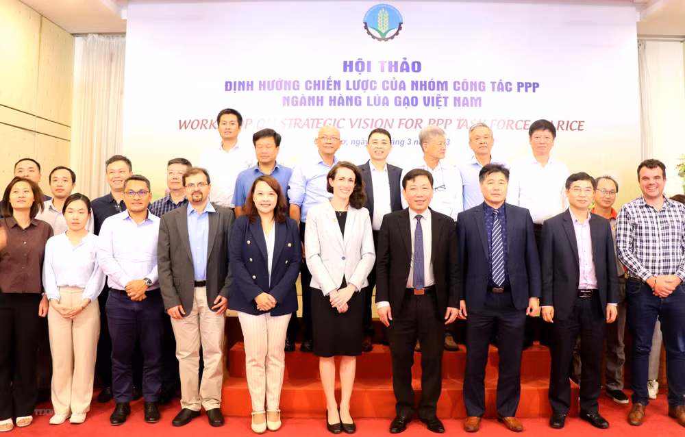 Public private partnership task force on rice established ảnh 1 Public private partnership task force on rice established ảnh 1
