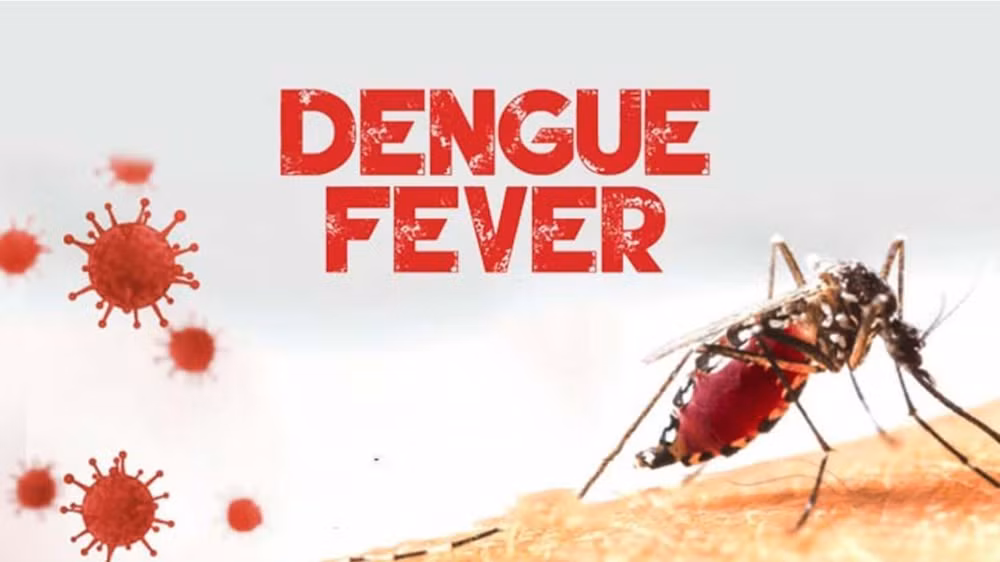 Laos strengthening dengue fever prevention, control ảnh 1 Laos strengthening dengue fever prevention, control ảnh 1