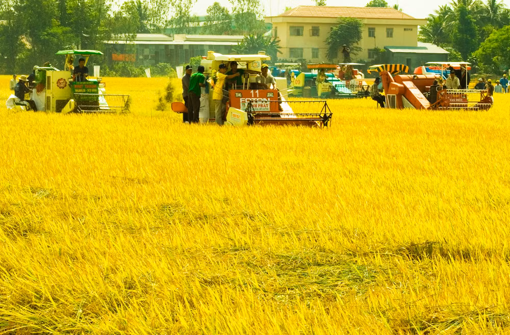Can Tho to add more new-style rural communes ảnh 1