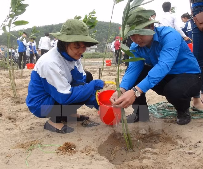 Hanoi becomes greener in lunar New Year ảnh 1 Hanoi becomes greener in lunar New Year ảnh 1