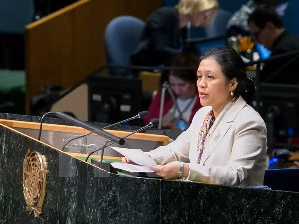  Vietnam continues to back disarmament, non-proliferation ảnh 1