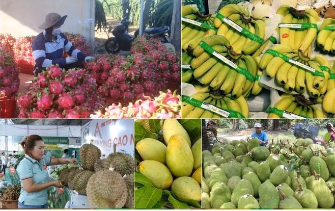 Diversification drives growth in Vietnam’s agricultural exports: HSBC ảnh 1 Diversification drives growth in Vietnam’s agricultural exports: HSBC ảnh 1
