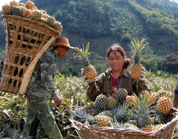 Capital convergence helps boost poverty reduction ảnh 2