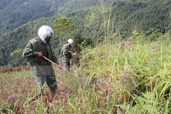 Meeting seeks to address bomb/mine aftermath in Vietnam ảnh 1
