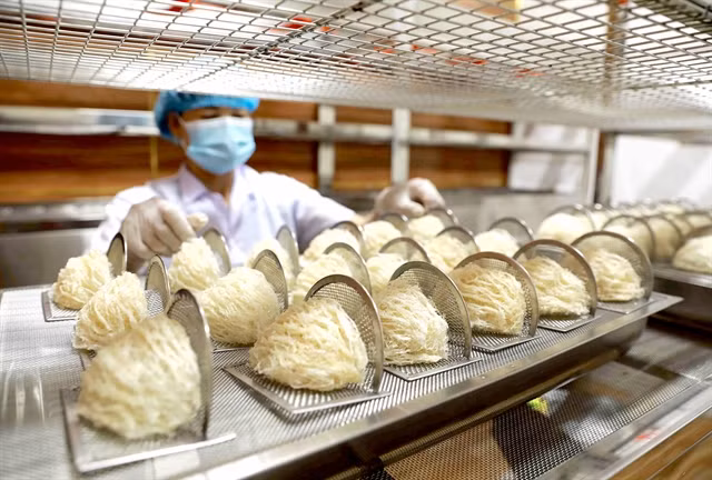 Vietnam bird's nests to enter Chinese market through official channel ảnh 1