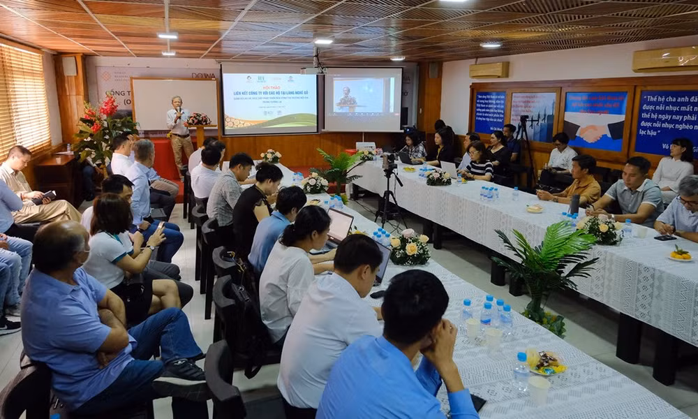 Wood sector seeking ways to develop sustainably ảnh 1