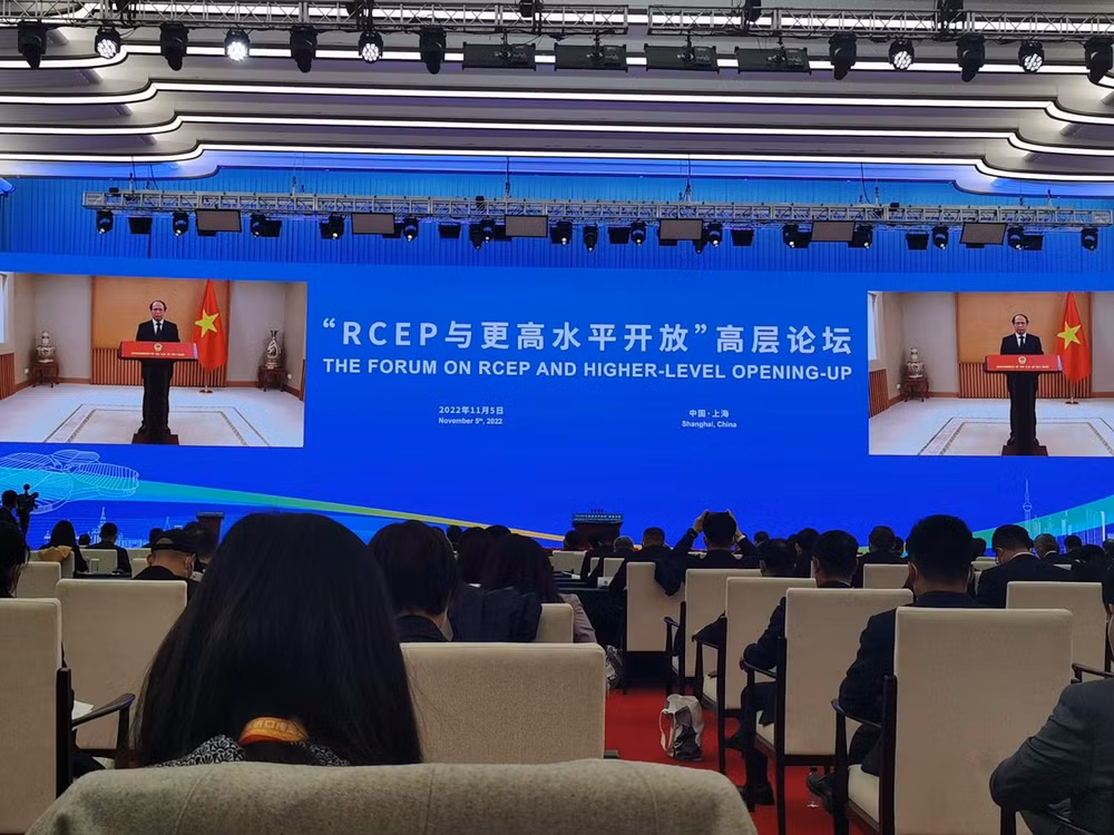 Vietnam urges RECP member economies to fully implement commitment ảnh 2