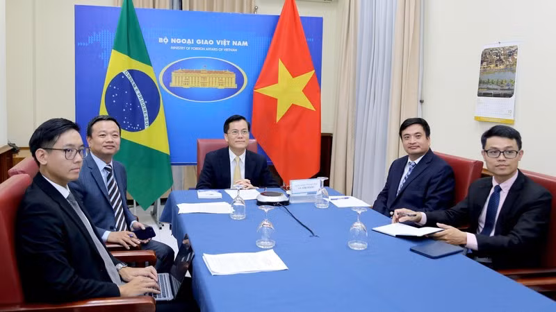 Vietnam, Brazil hold deputy ministerial-level political consultation ảnh 1 Vietnam, Brazil hold deputy ministerial-level political consultation ảnh 1