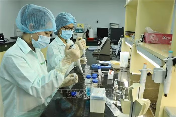 Seminar spotlights cooperation in research result, IP commercialisation ảnh 1