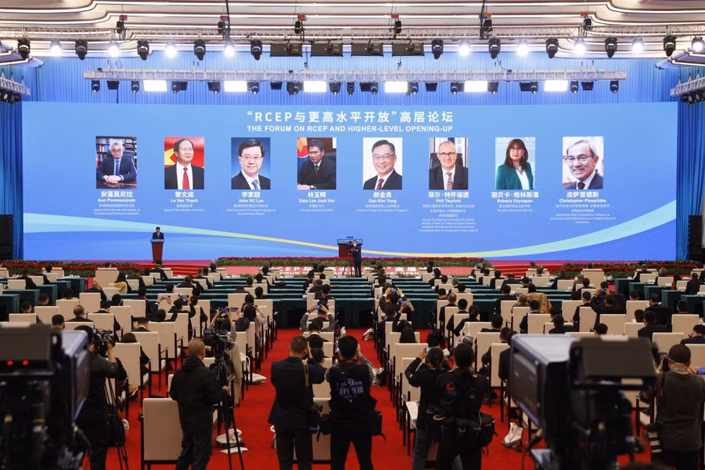 Vietnam urges RECP member economies to fully implement commitment ảnh 1