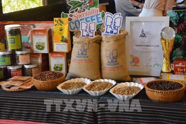 Vietnam’s coffee export expected to hit 4 billion USD this year ảnh 1