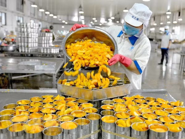 Boosting niche markets key to maintaining exports ảnh 1
