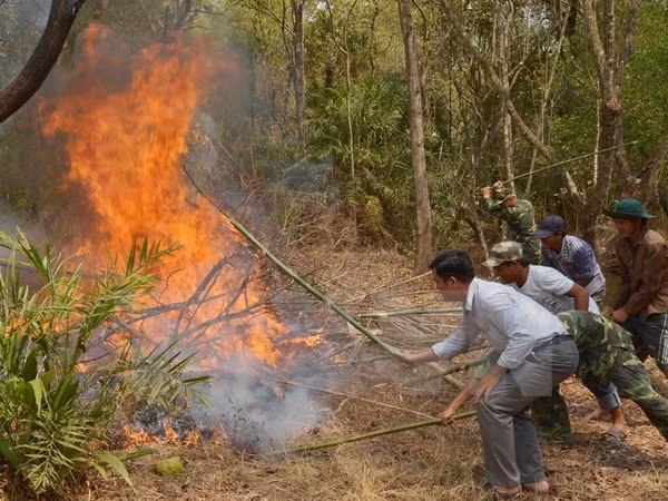Dry weather raises fire alert across nation ảnh 1 Dry weather raises fire alert across nation ảnh 1
