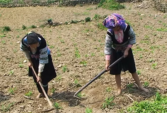 Kon Tum attempts to settle ethnic minorities, poor households ảnh 1 Kon Tum attempts to settle ethnic minorities, poor households ảnh 1