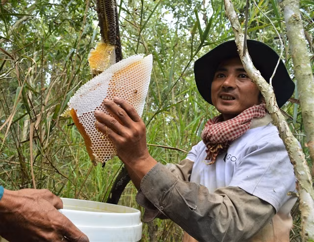 Ca Mau promotes key agricultural products ảnh 1