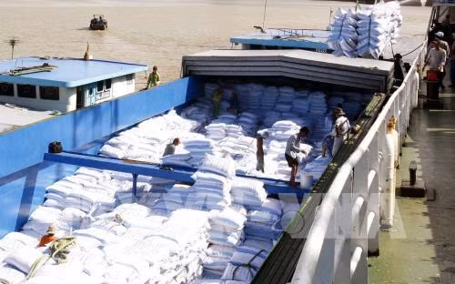 An Giang province boost cooperation with US ảnh 1