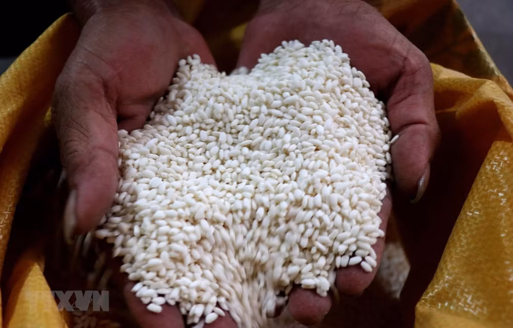 Ensuring food security becomes urgent: Minister ảnh 1 Ensuring food security becomes urgent: Minister ảnh 1
