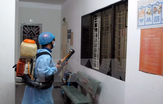 HCM City prevents major infectious diseases ảnh 1
