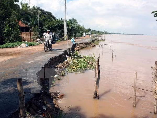 UNDP helps Vietnam battle climate change ảnh 1