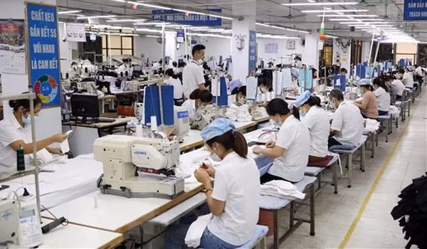 HCM City's labour market flexibly adapts to pandemic ảnh 1
