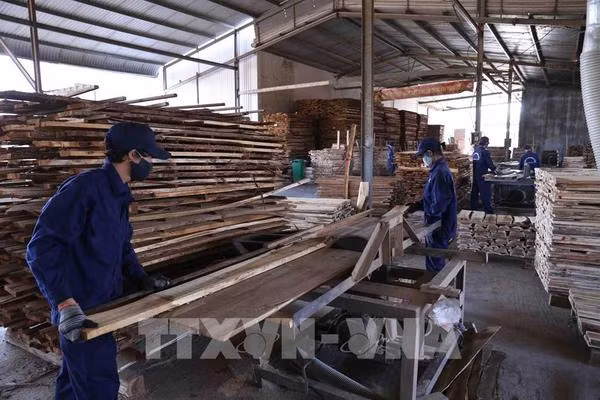 Decline in orders kicking in for footwear, garment, textile industries ảnh 2