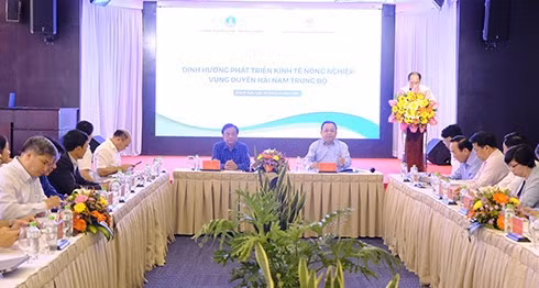 Agriculture should go in parallel with tourism development in south-central coastal region: Minister ảnh 1