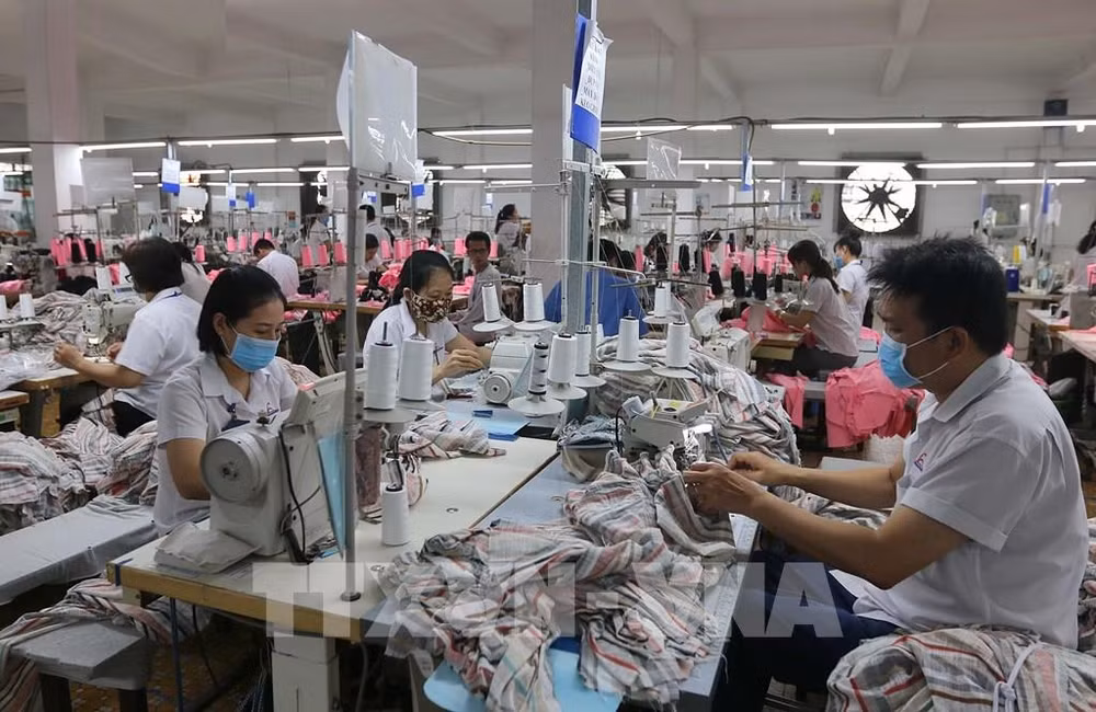 HCM City’s industrial production falls over 21% in January ảnh 1