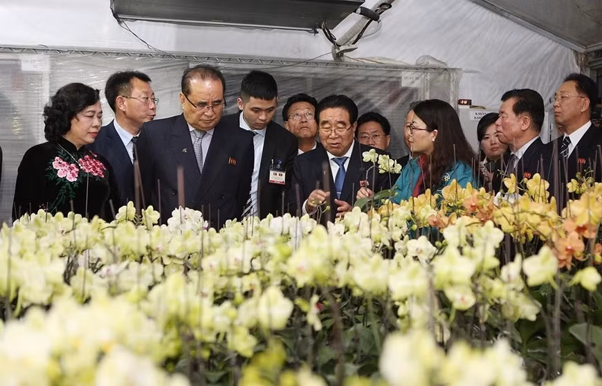 DPRK delegation visits Dan Hoai Co-operative ảnh 4