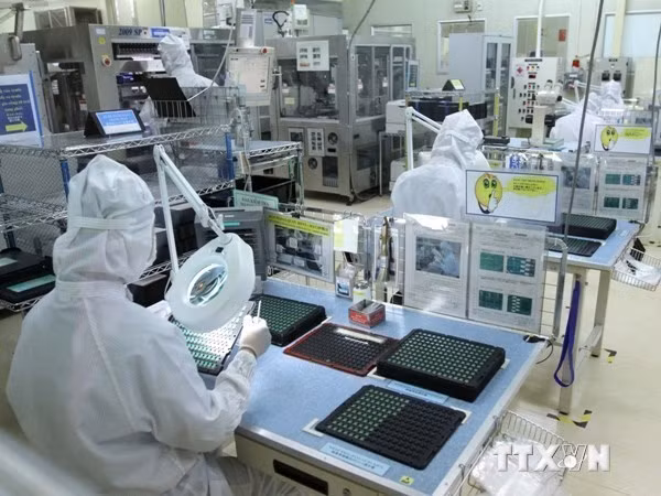 Japanese prefecture keen to boost industry with Vietnam ảnh 1 Japanese prefecture keen to boost industry with Vietnam ảnh 1