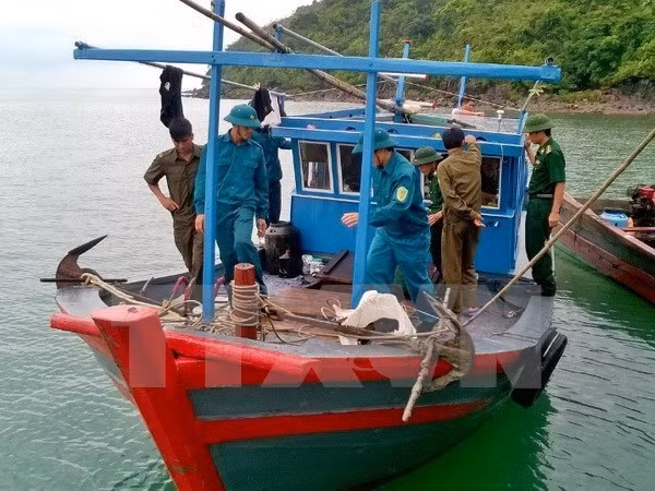 Quang Ngai promotes off-shore fishing ảnh 1 Quang Ngai promotes off-shore fishing ảnh 1