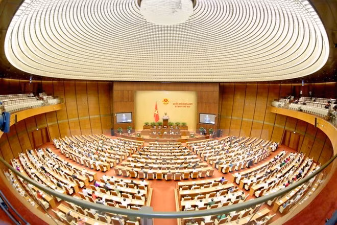 More ministers appear in hearings at National Assembly ảnh 1