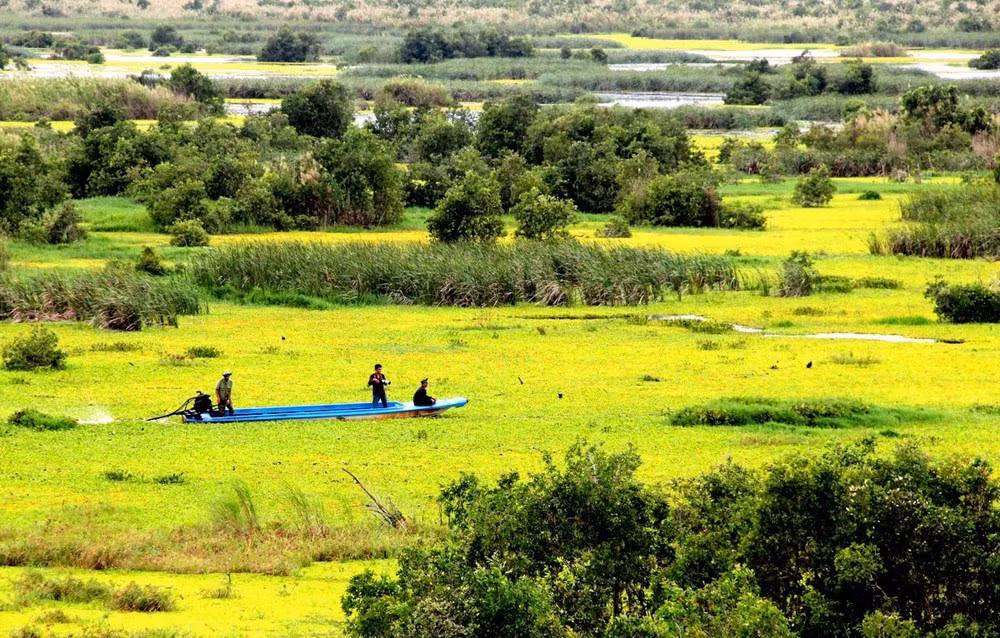 U Minh Thuong National Park preserves biodiversity ảnh 1