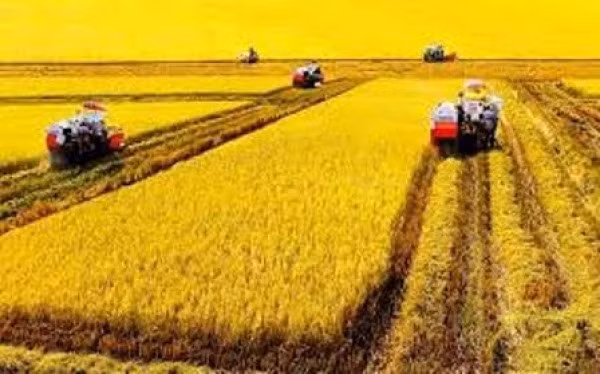 Ministry encourages focus on agricultural machinery ảnh 1 Ministry encourages focus on agricultural machinery ảnh 1